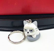 Load image into Gallery viewer, Grumpy Cat Key Chain