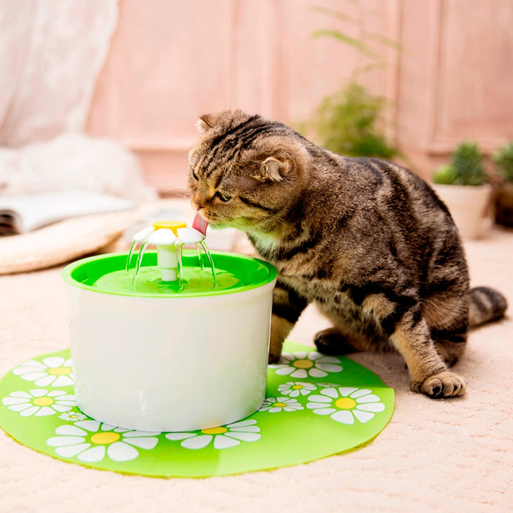 Cat Flower Fountain